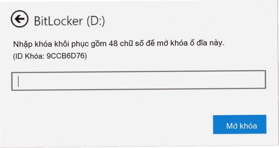 Ảnh chụp màn hình hộp thoại để nhập phục hồi BitLocker cho ổ đĩa dữ liệu.