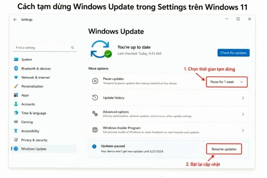 Cách tạm dừng Windows Update trong Settings trên Windows 11