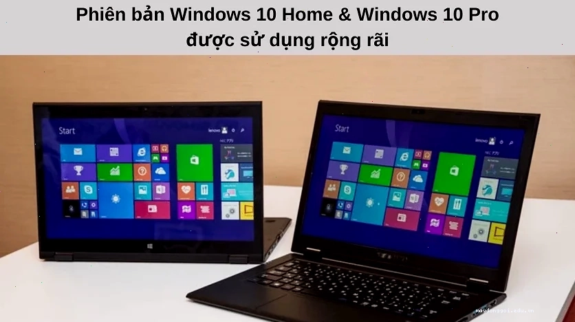 cài tiếng việt cho win 10 Home và Windows 10 Pro.