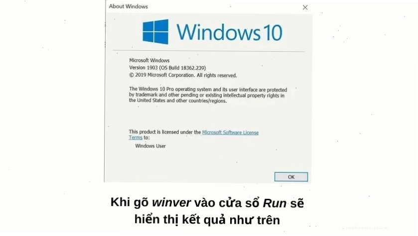 Cài tiếng Việt cho Win 10 SL (Window 10 phiên bản Single Language)