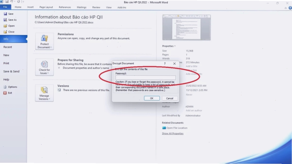 Cửa sổ nhập mật khẩu khi mở file Word đã bảo vệ