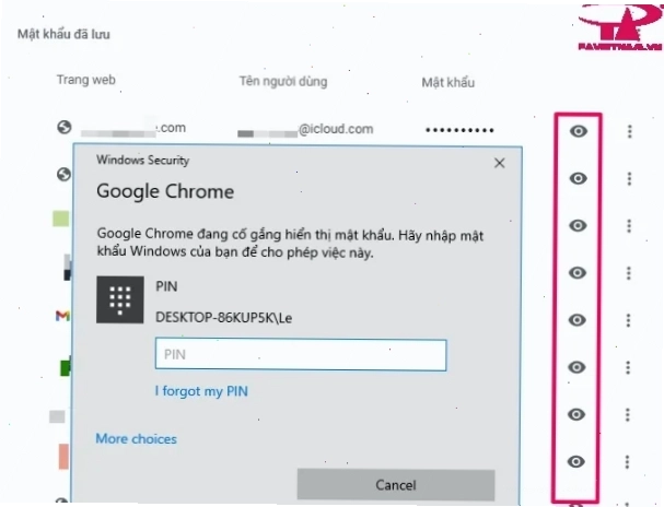 Google Chrome giao diện trình quản lý mật khẩu