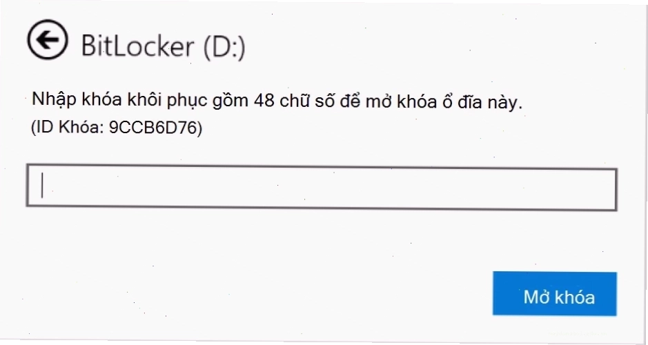 Hộp thoại yêu cầu nhập khóa khôi phục BitLocker