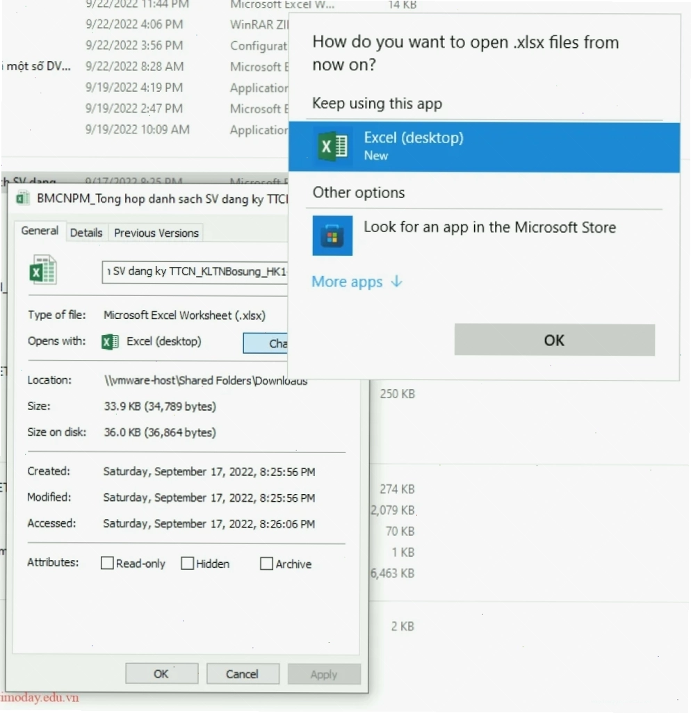 Nguyên nhân chính khiến file Excel bị trắng hoặc xám