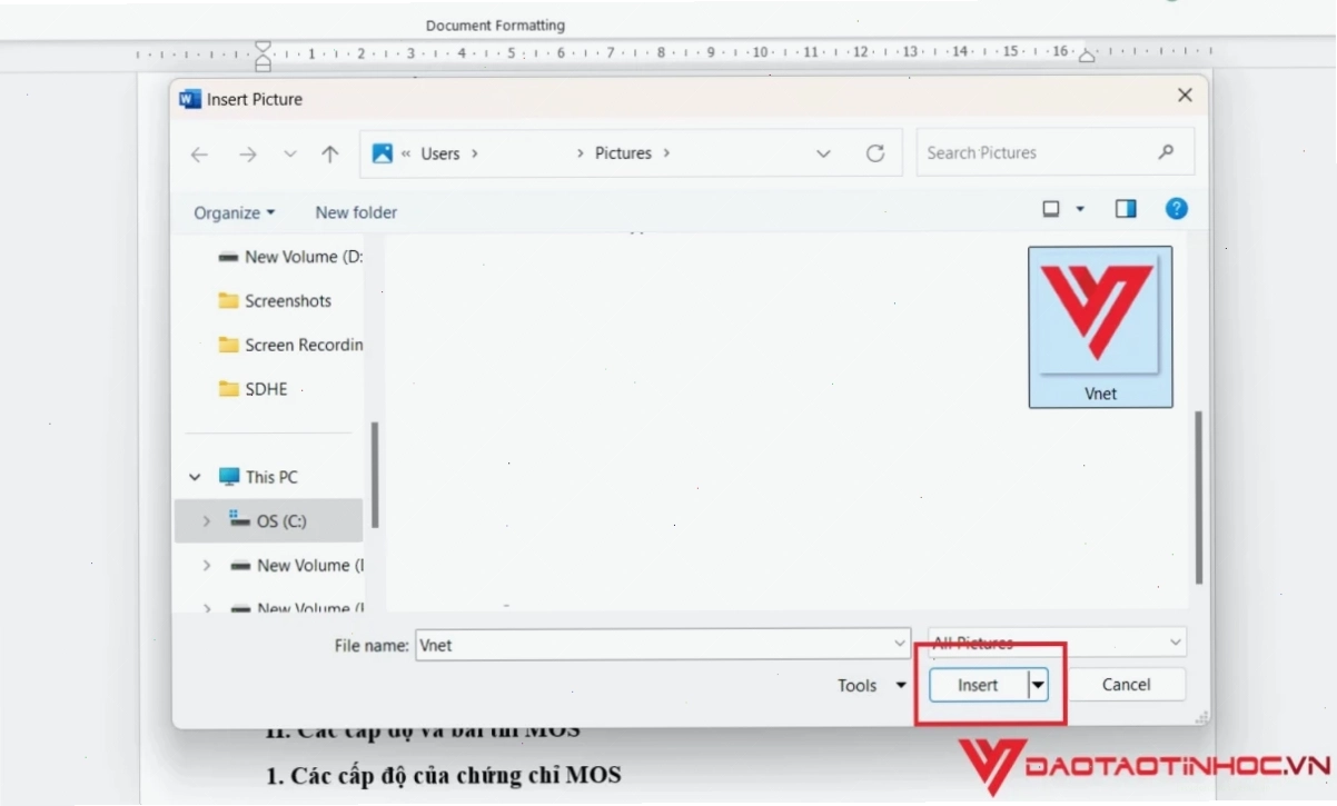 Nhấn Insert để xác nhận sử dụng ảnh làm watermark