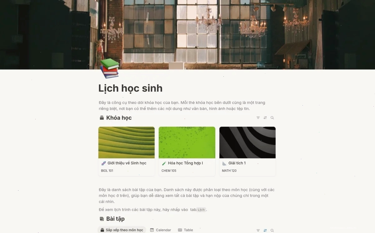 Sử dụng template Notion sinh viên để tổ chức lịch trình học tập hiệu quả