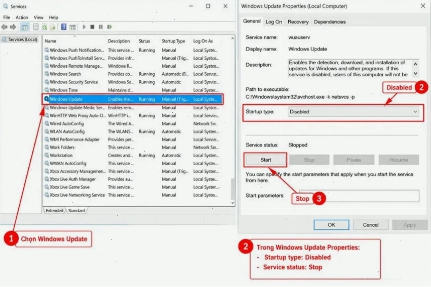 Thiết lập cập nhật tự động bằng Group Policy và Registry trên Windows 11