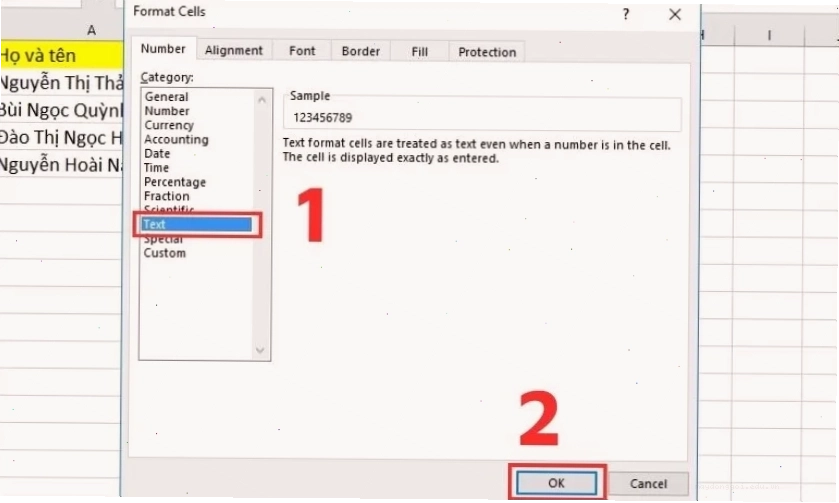 Trong tab Number bạn chọn mục Category để nhập Text
