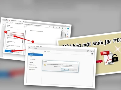 Gỡ Mật Khẩu File PDF Bị Khóa Chỉnh Sửa: Sự Thật Hay Lầm Tưởng?