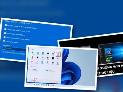 Hạ Cấp Windows 11 Xuống Windows 10: Bí Mật Không Ai Nói Với Bạn