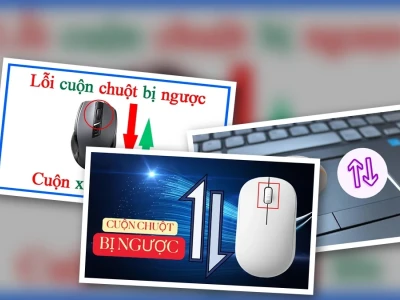 Nút Cuộn Chuột (Scroll) Bị Loạn Giật Ngược Lỗi Hay Do Bạn?