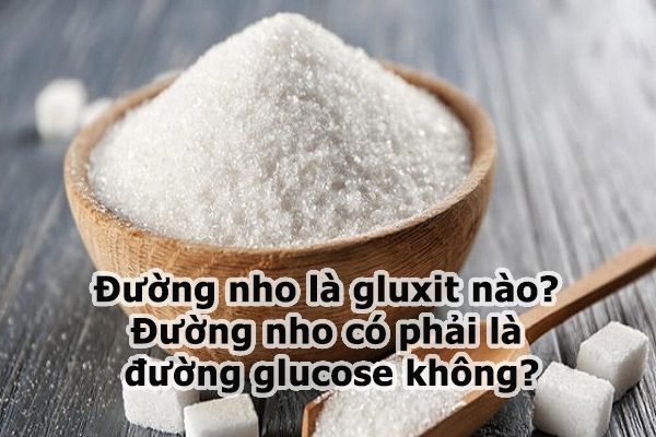 Đường nho là gluxit nào? Đường nho có phải là đường glucose không?