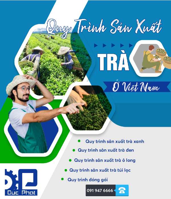 Quy-trình-sản-xuất-trà-Đức-Phát